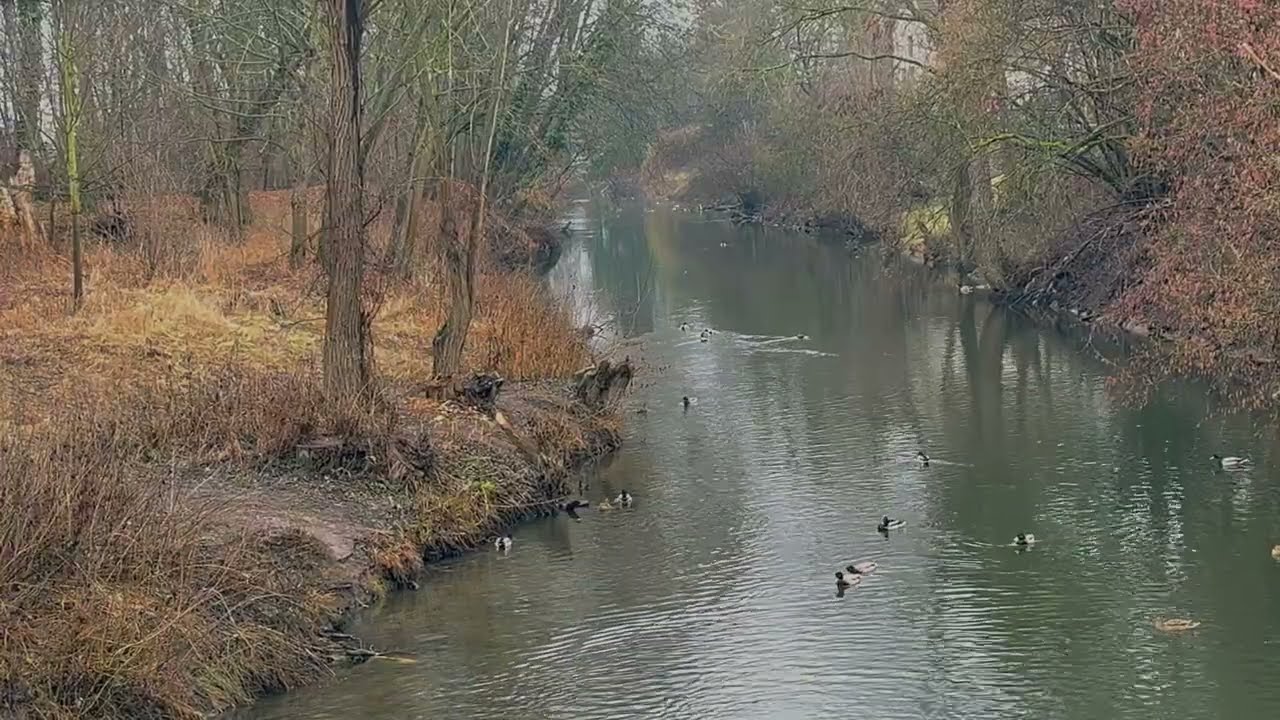 AXMAN Trochu víc se bude chtít spát /02022026/