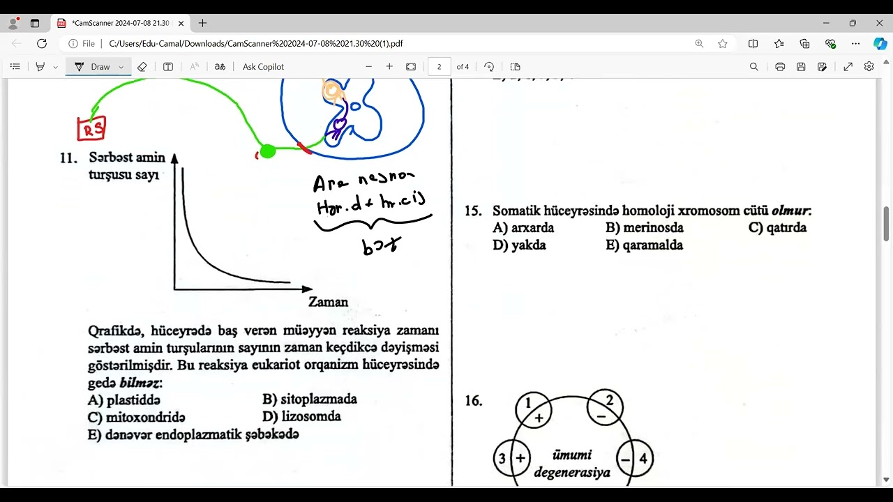 Biologiya Sınaq izahı