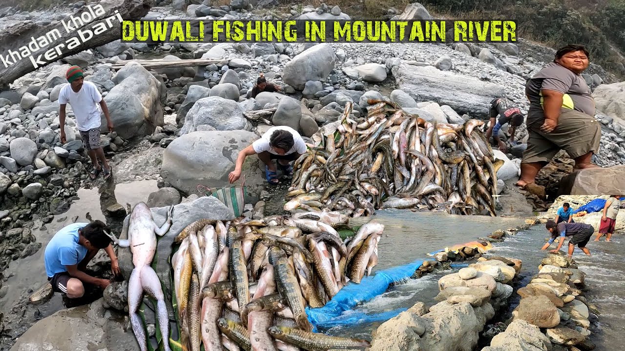 Duwali Fishing in Khadam, Himalayan River of Nepal! #Buduna Macha #Kabre #Paha #Crab Hunt Kerabari