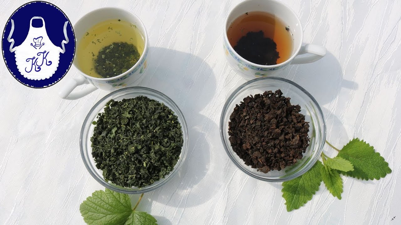 Fermentierter Tee aus schwarze Johannisberrblätter und Melisse