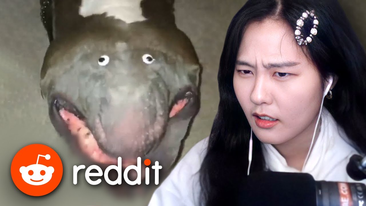39daph Reacts to Reddit #26
