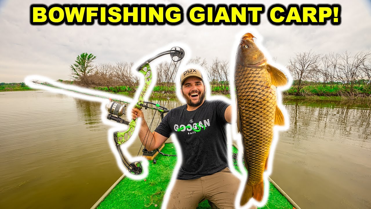 BOWFISHING My Farm for GIANT CARP for the FIRST TIME!!! (Catch Clean Cook)