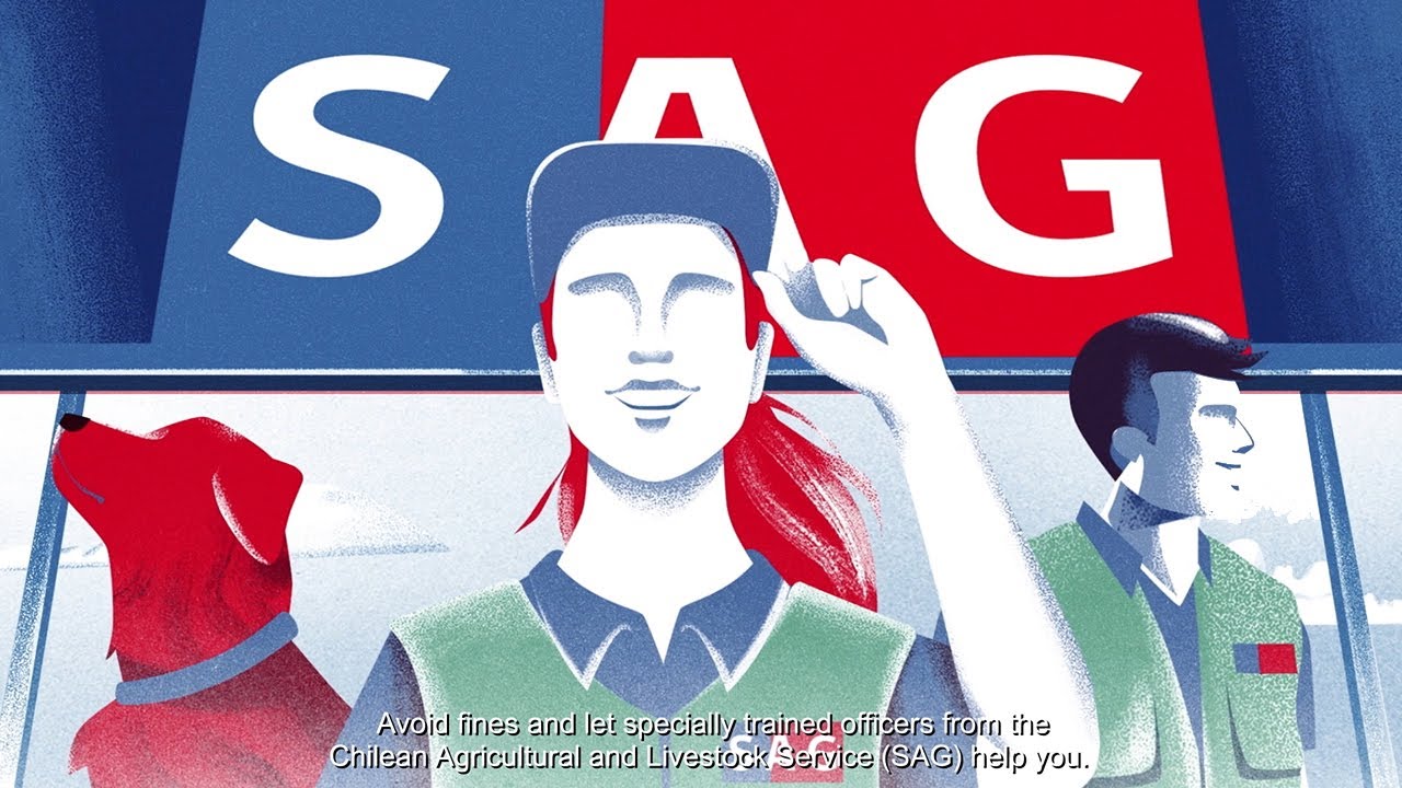 Video SAG de ingreso a Chile