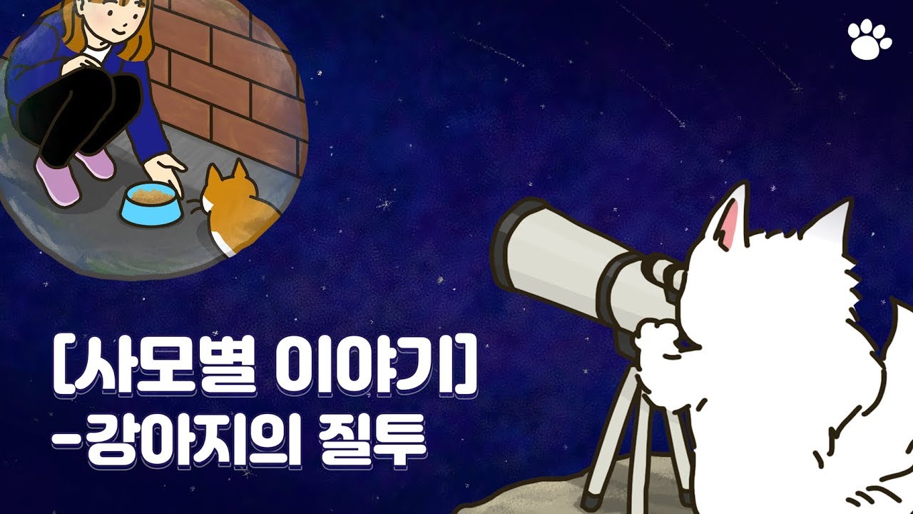 고양이의 등장!? 사모의 귀여운 질투