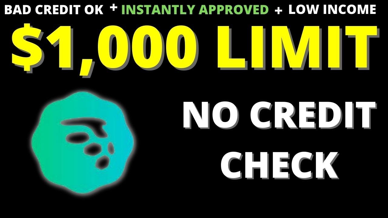 Обзор кредита MoneyLion Credit Builder Plus 2023: кредит Moneylion на 1000 долларов при плохой кр...