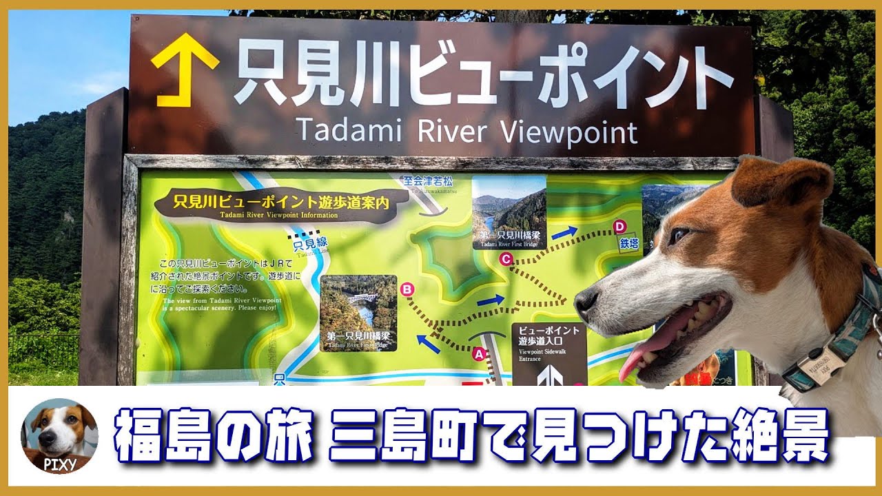 【只見川ビューポイント】道の駅 みしま宿から行ける絶景 JRオススメ　第一只見川橋梁ビューポイント　福島へ行ったら寄ってみて~🐶 #jr #ジャックラッセルテリア #只見川