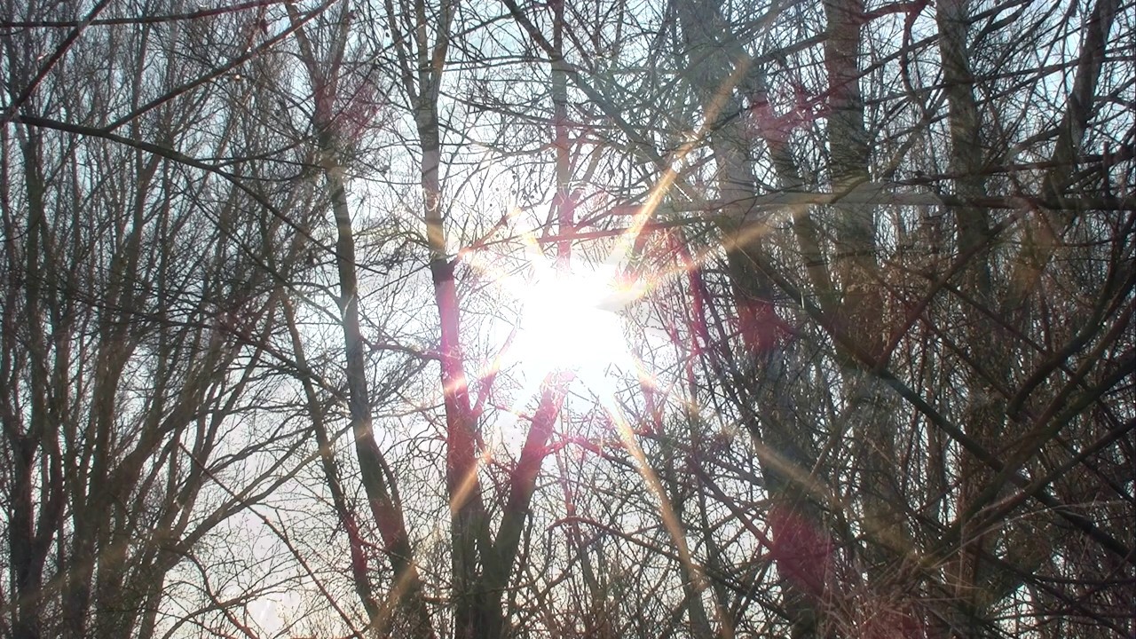 De Baakse beek in Wichmond