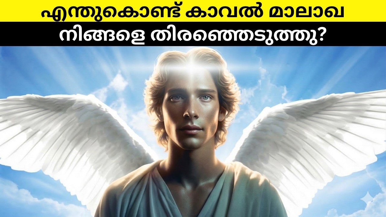 നിങ്ങളുടെ ജനനത്തീയതിയുടെ പിന്നിലെ രഹസ്യം❗❗എന്തുകൊണ്ട് കാവൽ മാലാഖ നിങ്ങളെ തിരഞ്ഞെടുത്തു?