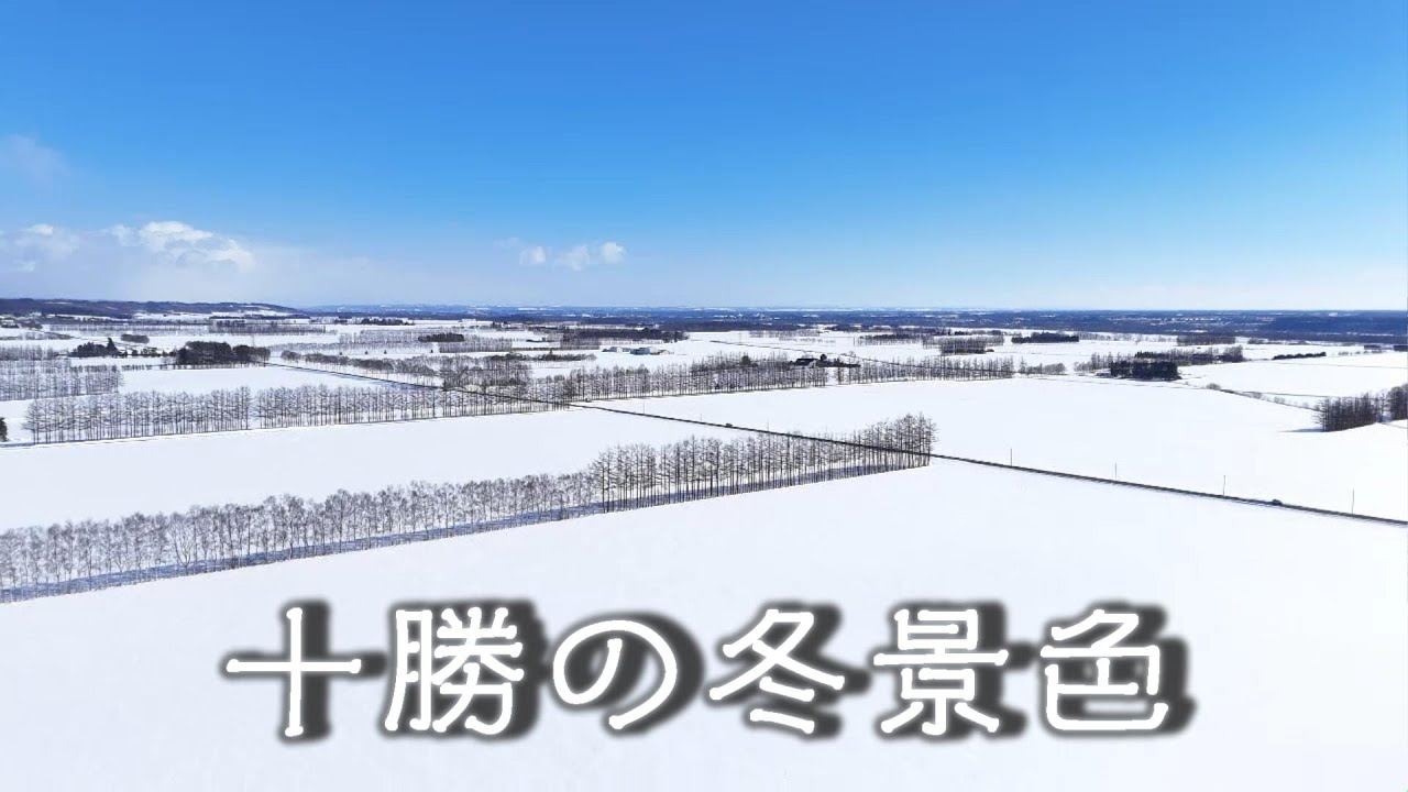 【４Ｋ】北海道十勝の冬景色／農村風景・十勝平野・日高山脈・野鳥／sony α6700／DJI Air3空撮
