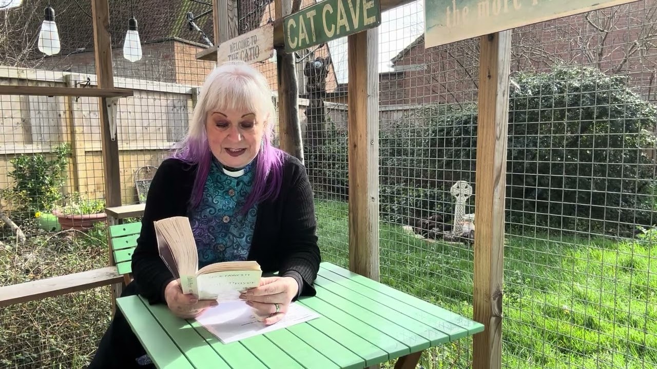 February 23rd 2026: Compline: The Vic, The Bear, The Catio, The Sun & an unflattering camera angle!