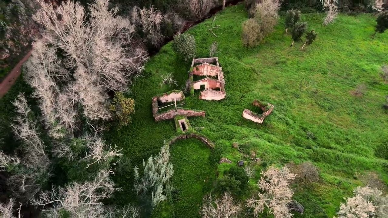 Hidden Gem in São Teotónio – 19.7 ha with Historic Water Mill