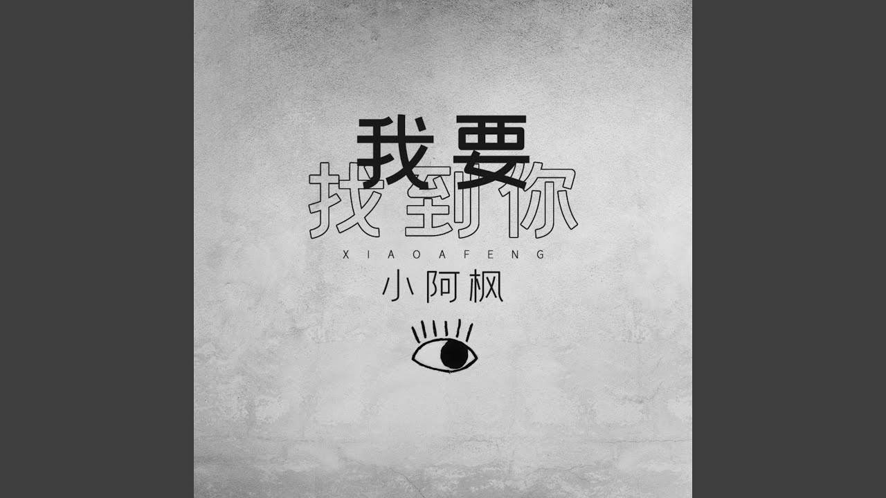 我要找到你 (DJ辉总版)