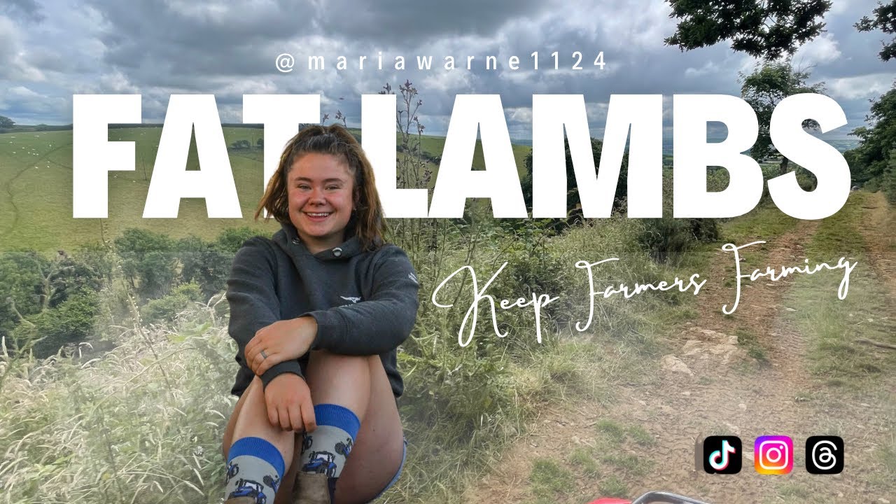 FAT LAMBS | mariawarne1124