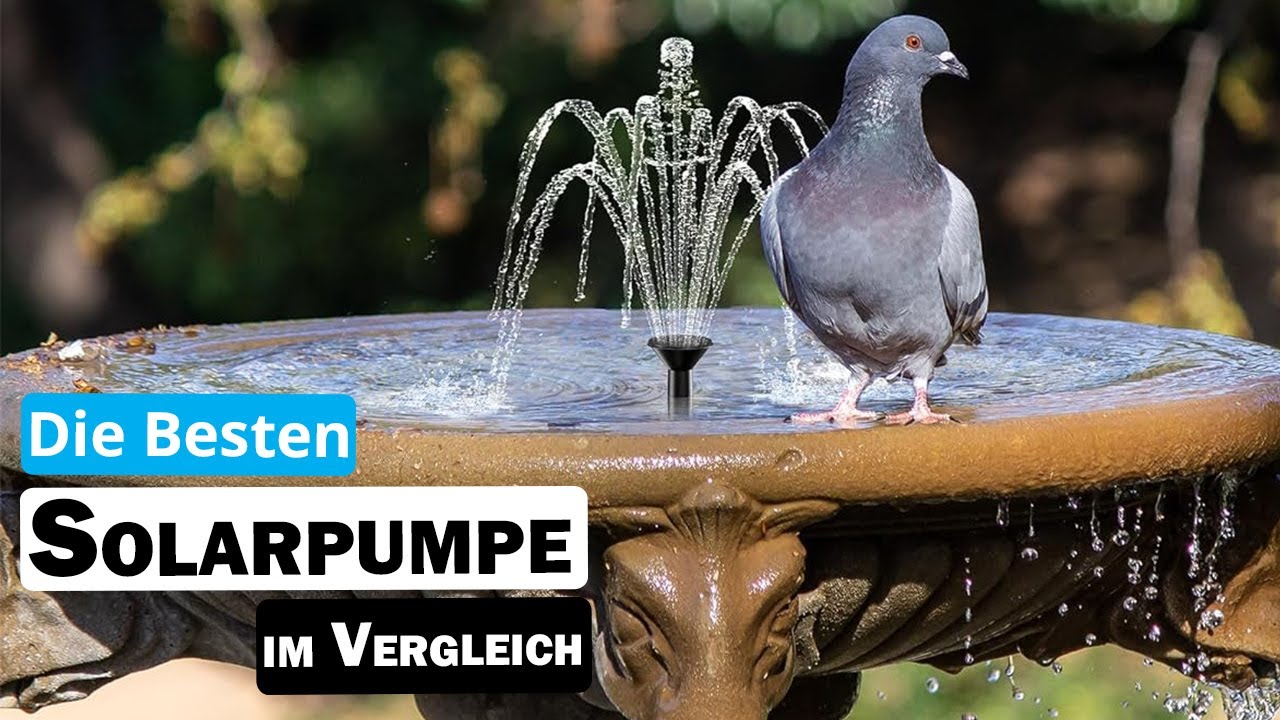 Besten Solarpumpe im Vergleich | Top 5 Solarpumpe Test