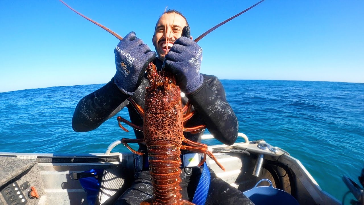 West Oz - The BEST Crayfish Diving in Australia!?