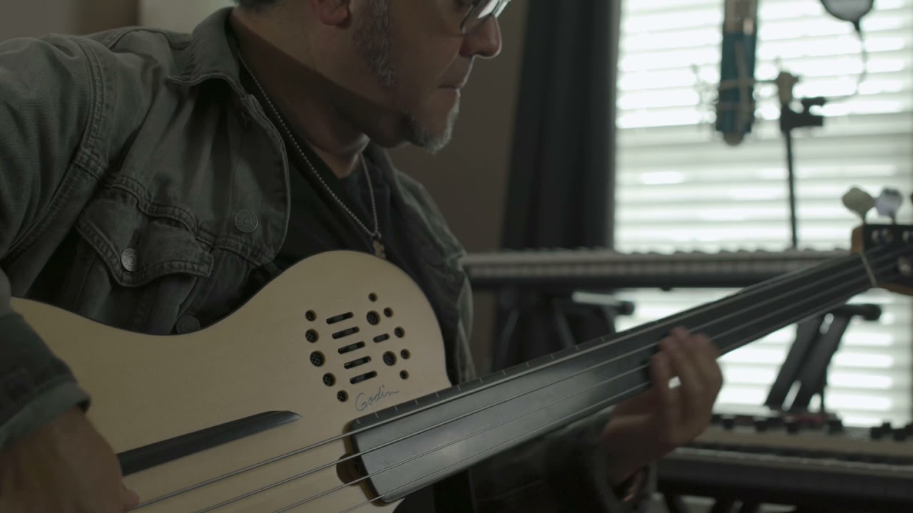 Godin Fretless Bass with LR Baggs pre amp