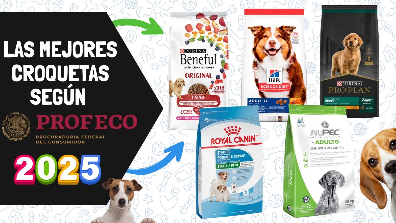 LAS MEJORES CROQUETAS 🐶 PARA TU PERRO EN 2025 SEGÚN PROFECO