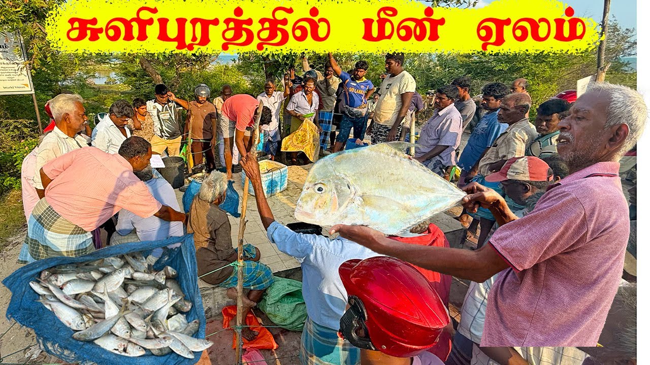 யாழில் திடீரென மலிந்த மீன்  விலை! Chulipuram fish market ! Jaffna  youtubers | canada Tamil  Vlog