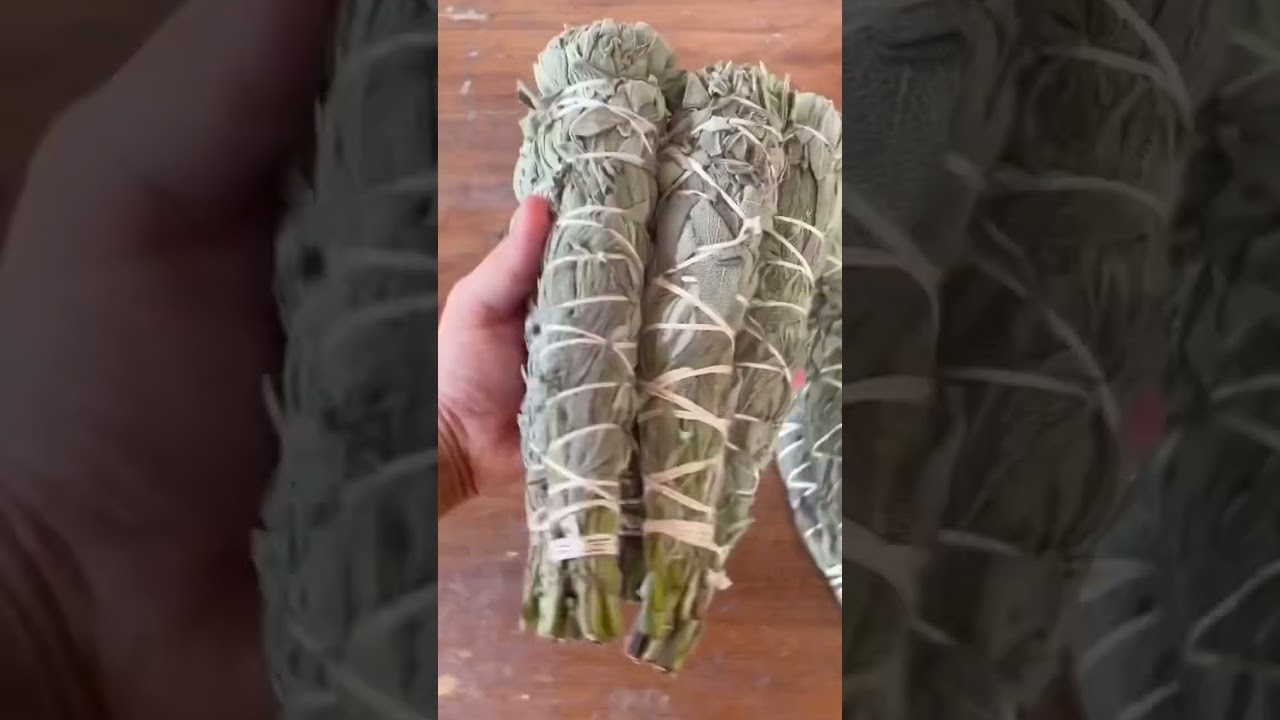 Growing Sage in the Garden