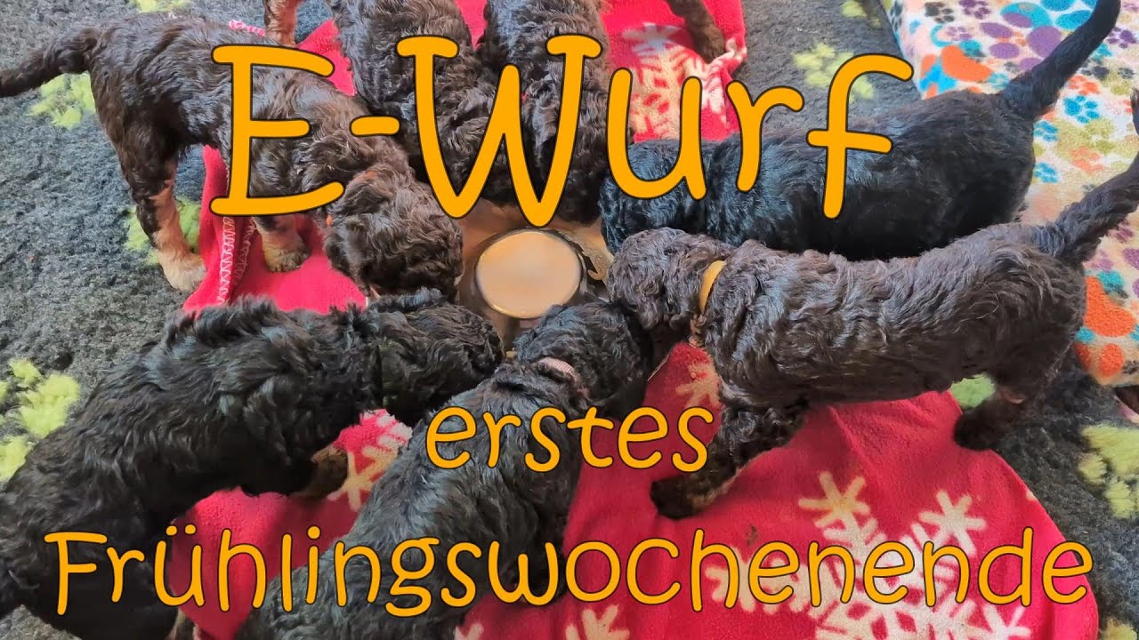 E Wurf - Frühlingsanfang, das war unser Wochenende