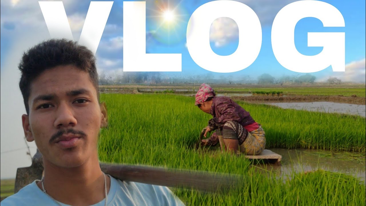 😍Today's vlog at the farm👀😅||Aaj का vlog खेत में 👍#funny #vlog #dailyvlog 