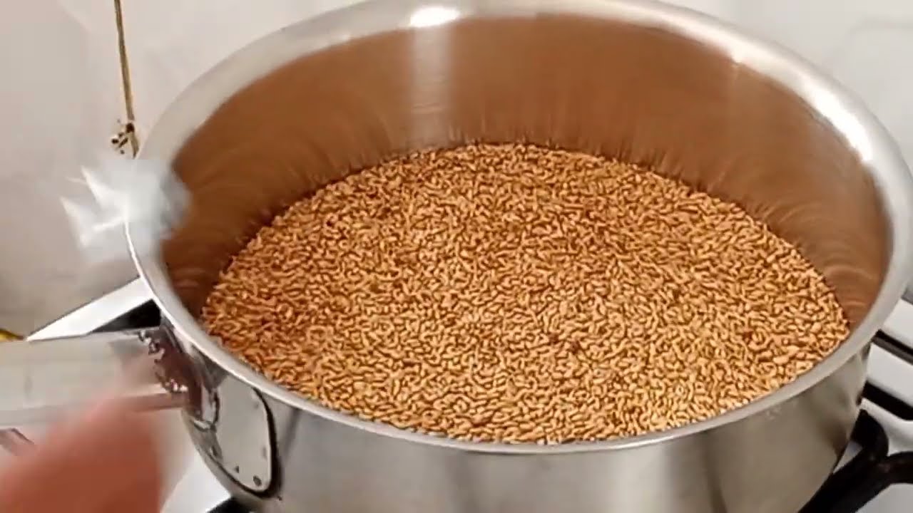 How To Make Nech/White Telba At Home 🇪🇹