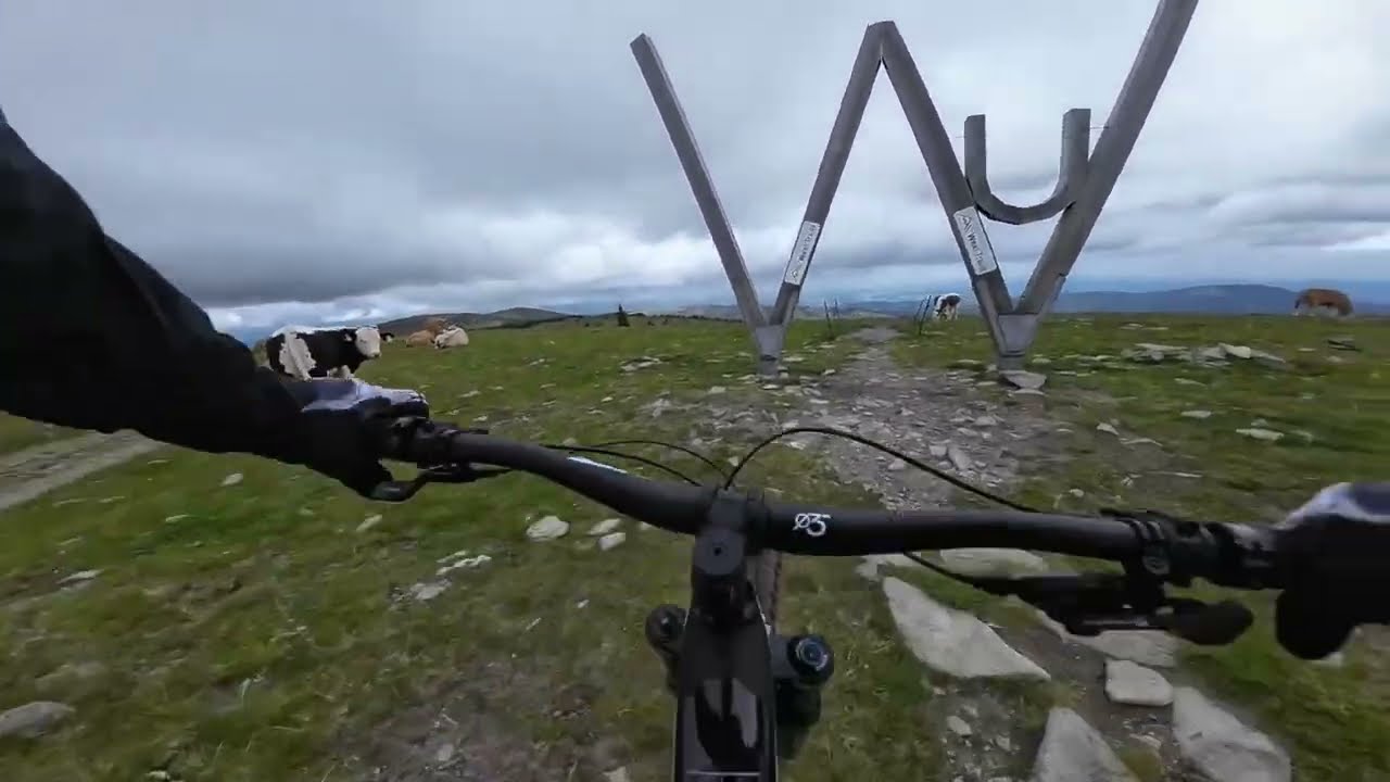 MTB | Wexl Trail | Hochwechseltrail 