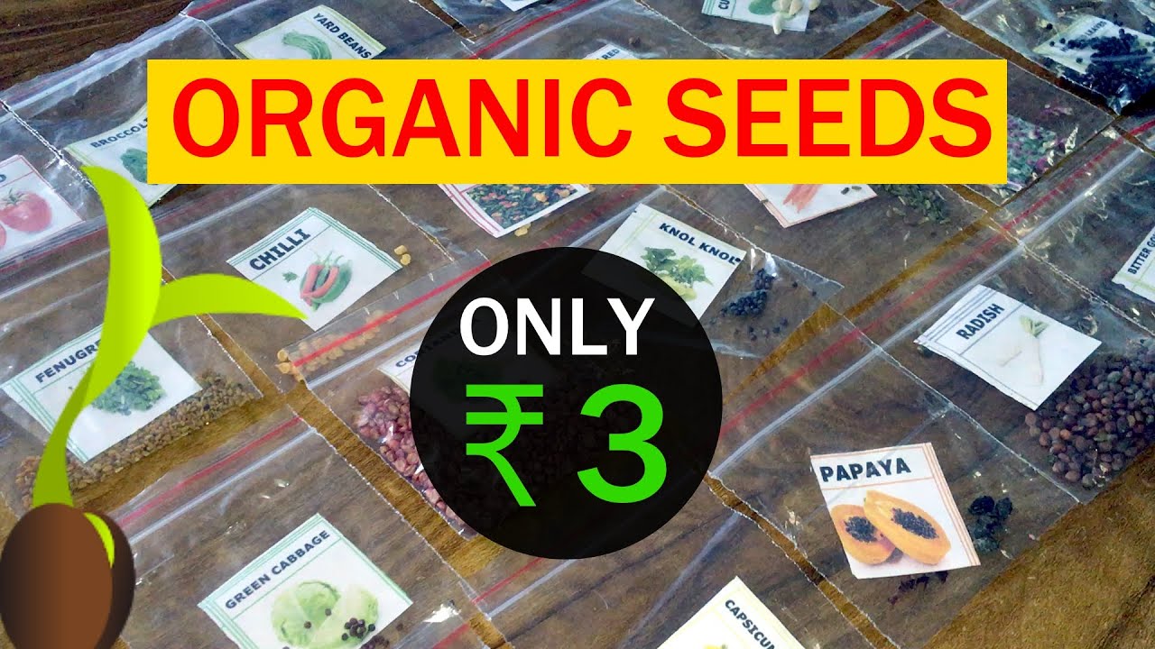 Buy Organic Vegetable Seeds at Cheap Price | Best Quality Organic Seeds at Rs 3