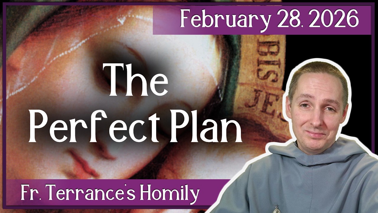 (4K) A Challenge to all Perfectionists - February 28th, 2026 Homily