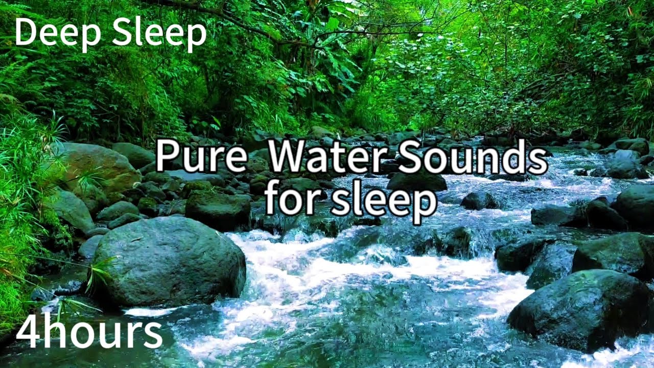 Relaxing Forest Stream 4 Hours: Pure Water Sounds for Sleep, Study, and Meditation