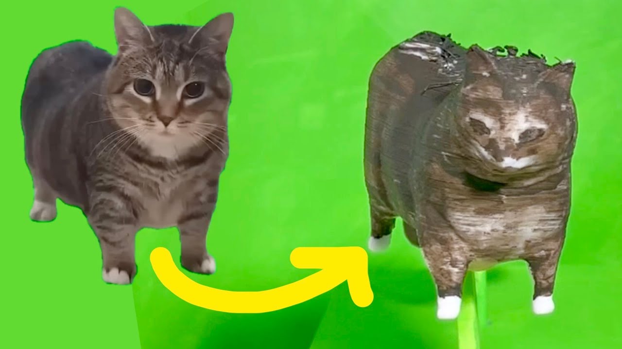 A CURSED OIIA Cat