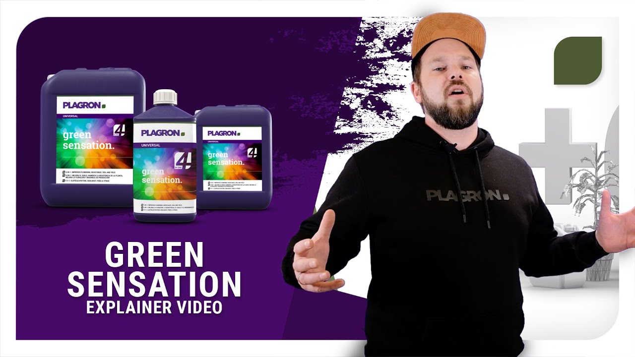 Plagron Green Sensation: Explainer video