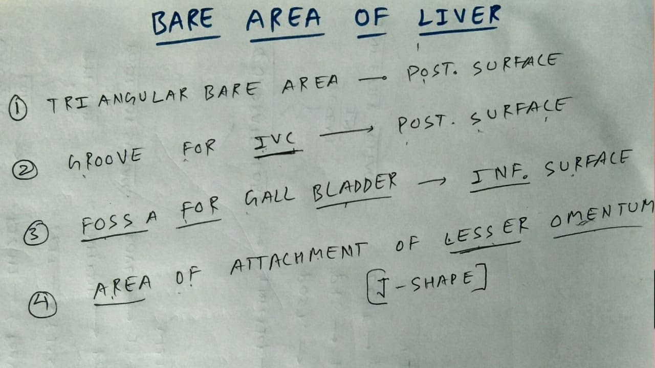 Bare area of liver- 9 | TCML