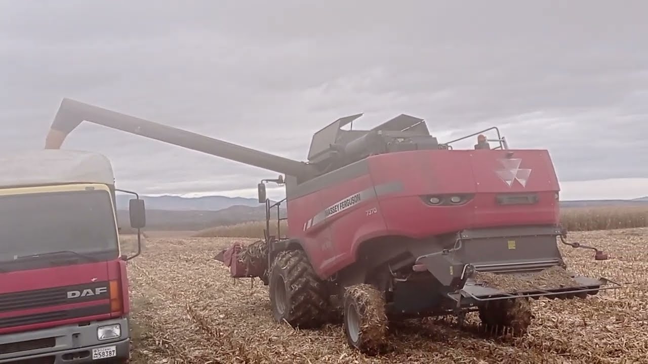 ΣΥΓΚΟΜΙΔΗ ΑΡΑΒΟΣΙΤΟΥ 2022.- MAIZE HARVEST