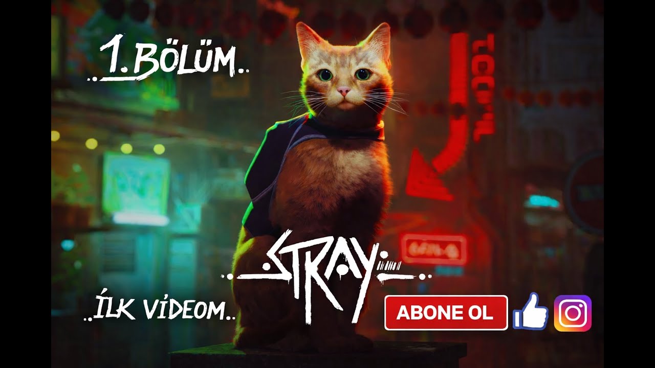 KANALIN İLK VİDEOSU!!! EFSANE SERİ STRAY!!! DOSTLARIM BENİ SATTI!!!  STRAY