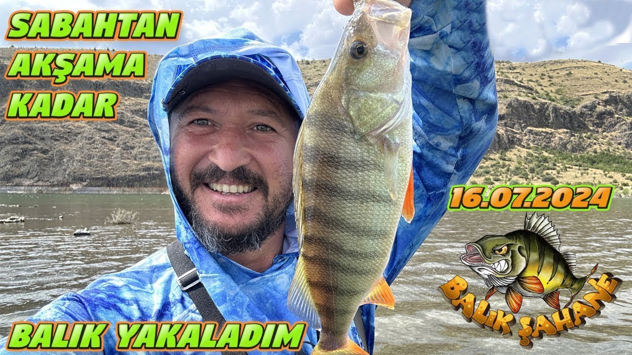 Kamışlar Titretti Az Kalsın Çarpılıyorduk.Baldo Perch leri Üçüncü Noktada Enseledim.Perch Balık Avı…