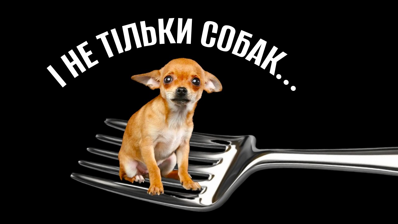 ЧОМУ КОРЕЙЦІ ЇДЯТЬ СОБАК?