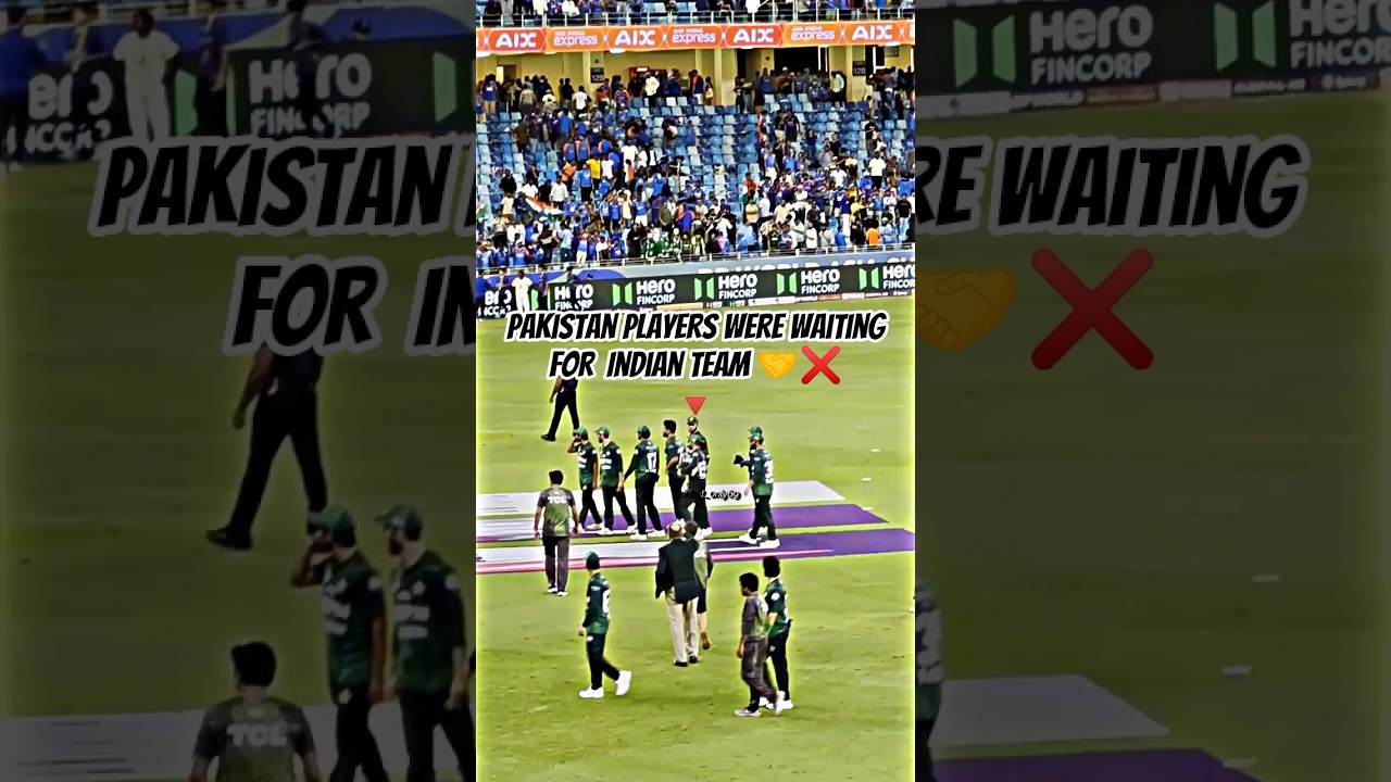 Indian Players Refused To Handshake After Match #shorts #cricket #shaheenafridi #jaspritbumrah