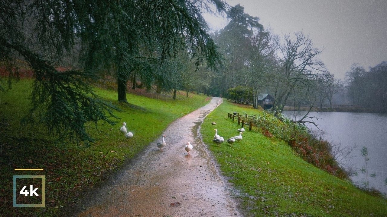 Relaxing Heavy Rain Walk in Nature 🌧️ 4K Park Ambience | ASMR Rain Sounds for Sleep, Study & Focus