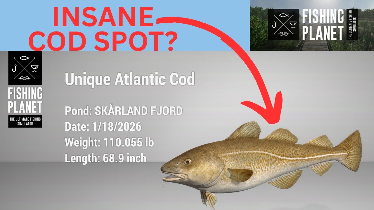INSANE UNI COD SPOT FOUND? | FISHING PLANET
