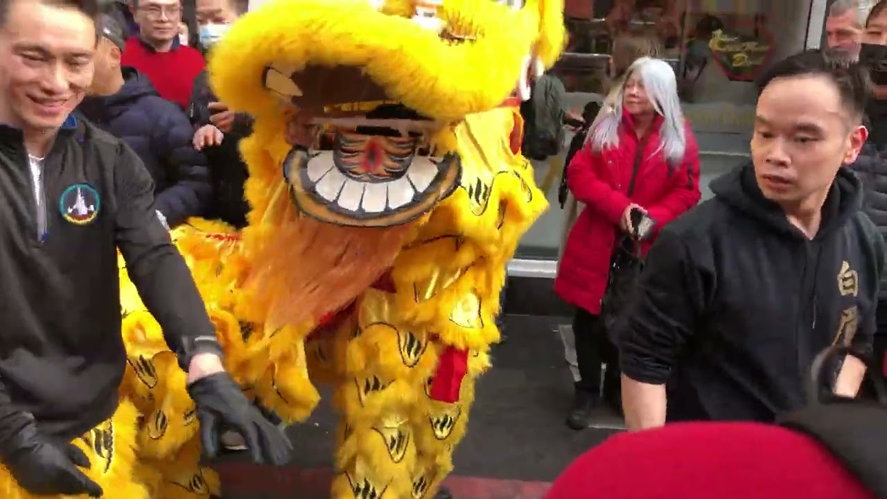 2022.02.06 Chinese New Year Pak Mei Lion Dance in Bayswater