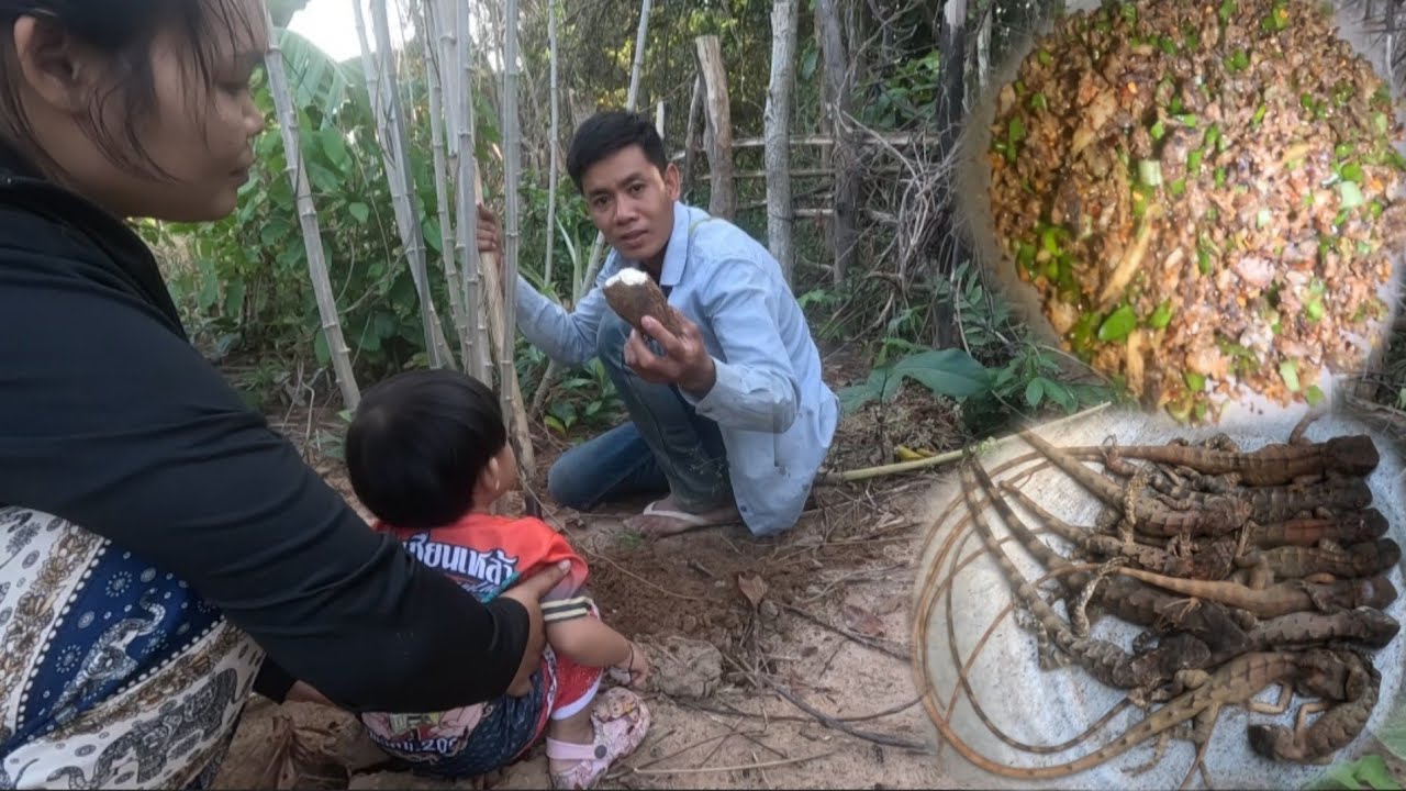 ก้อยกะปอม//ກ້ອຍກະປອມ