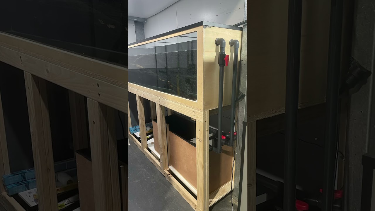 Building the 220 Gallon Plywood Tank. 500 gallon next?? #plywood #diy #aquarium #fish #cichlid