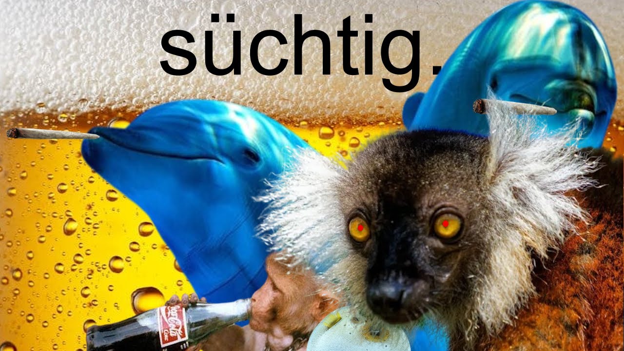 Wenn Tiere Drogen nehmen