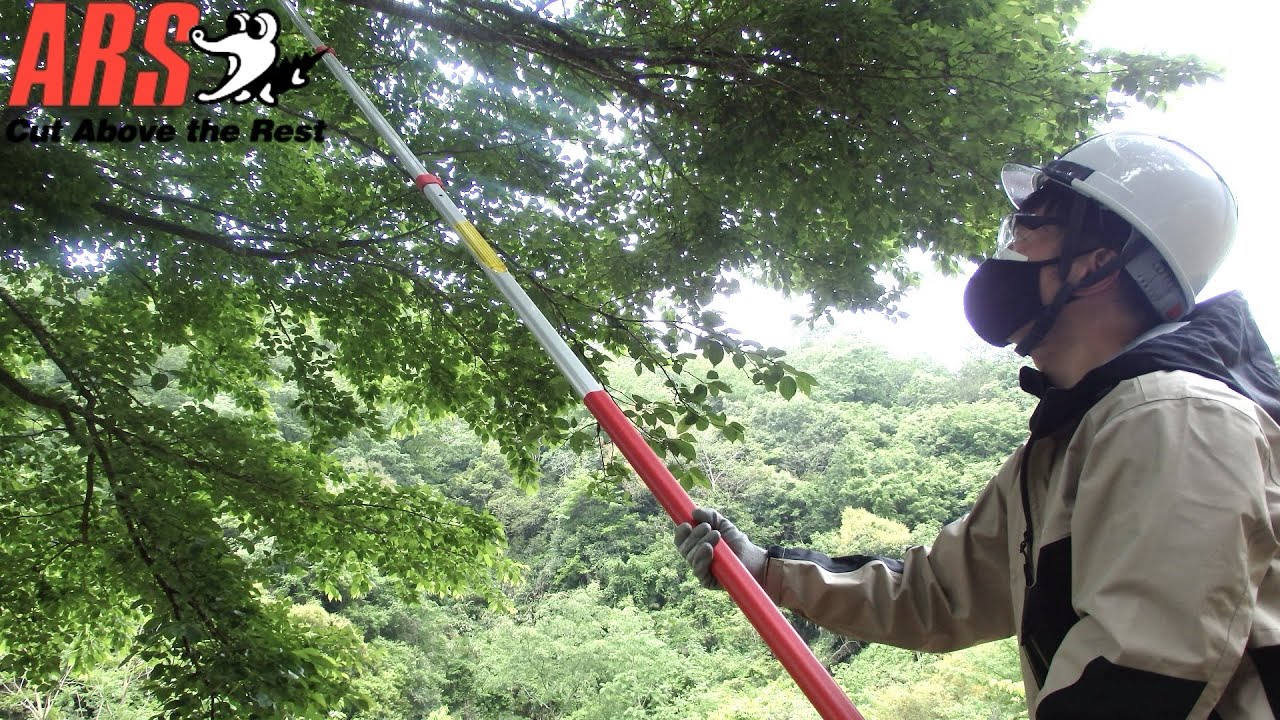 ARS Professional long reach pole saws