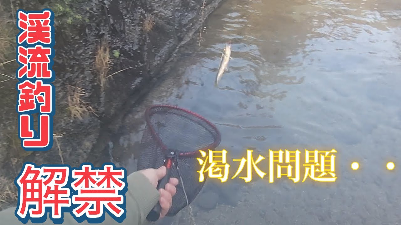 【渓流釣り】3月ヤマメ解禁 渓流へ　えぇ！こんなはずでは・・・