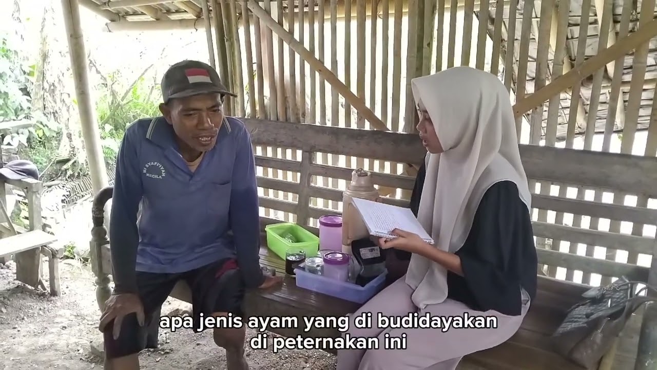 BUDIDAYA PETERNAKAN AYAM
