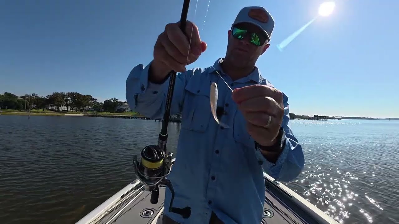 Drop shot white trout
