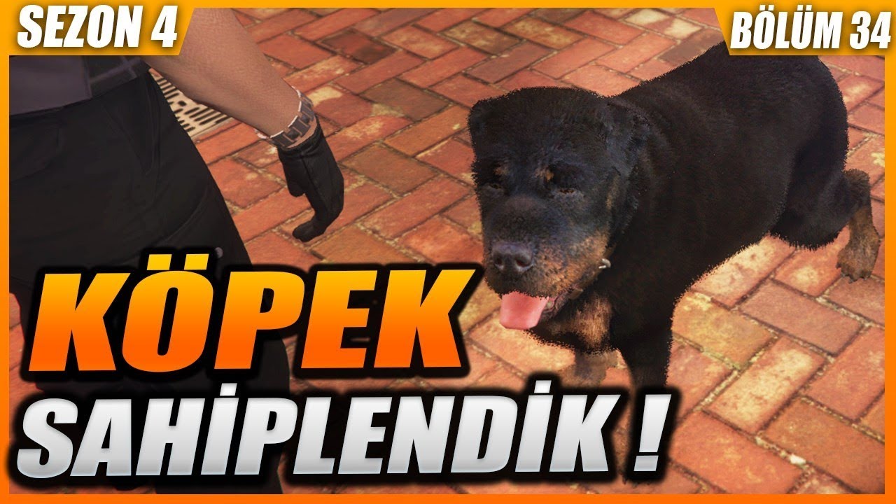 KÖPEK SAHİPLENDİK ! (İNTİKAM ALDIK) GTA 5 ROLEPLAY