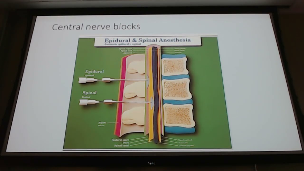 Surgury Block 2 Lecture 2